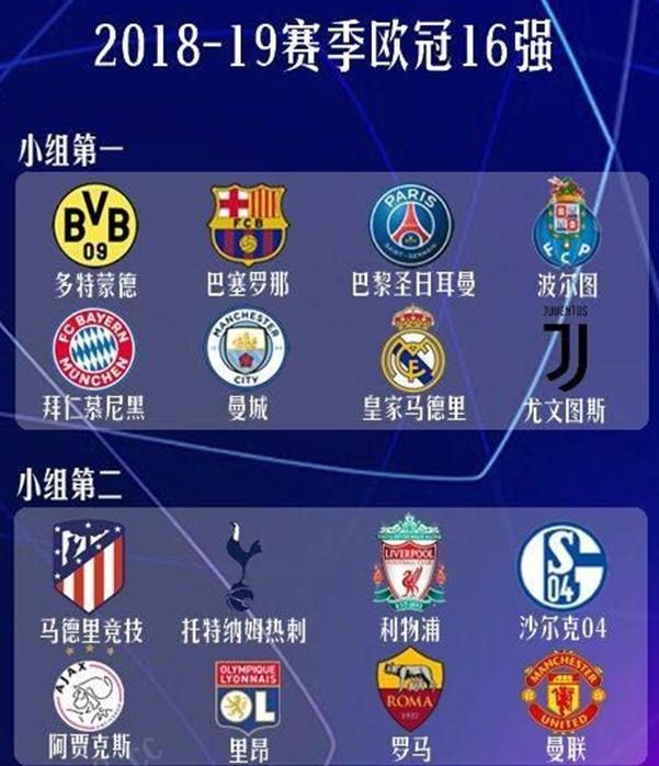 他的职业生